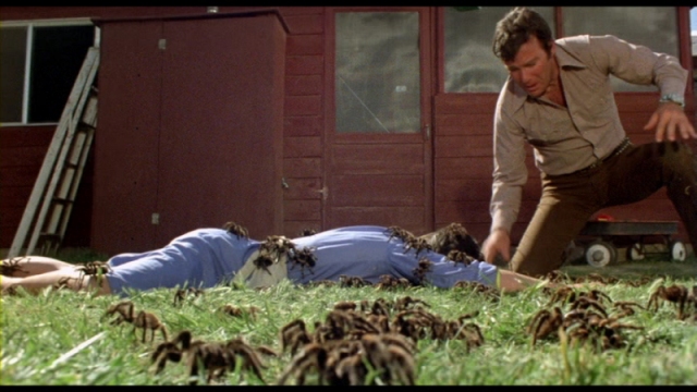 800_kingdom_of_the_spiders_dvd_7