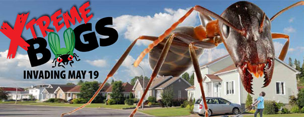 Xtreme-BUGS-event-listing