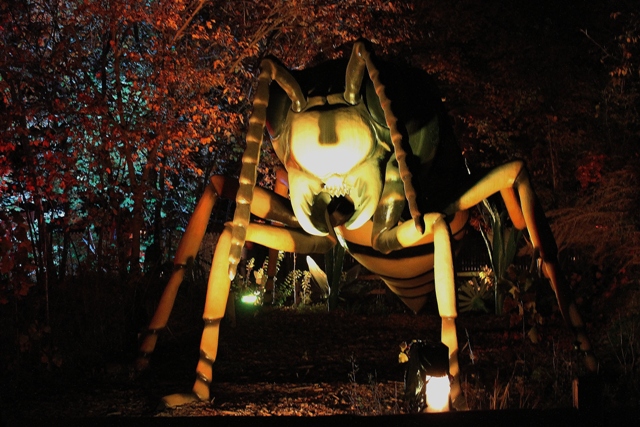 BUGS AT NIGHT2