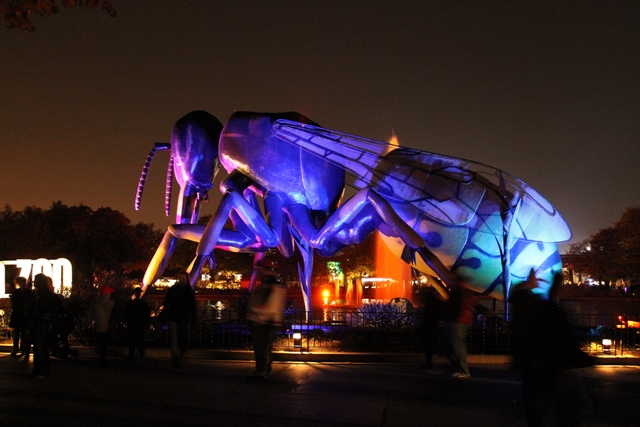 BUGS AT NIGHT7