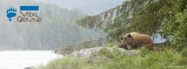 59777_626659684027962_559703732_n