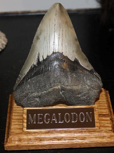 1377195_10201961379265091_69701390_n