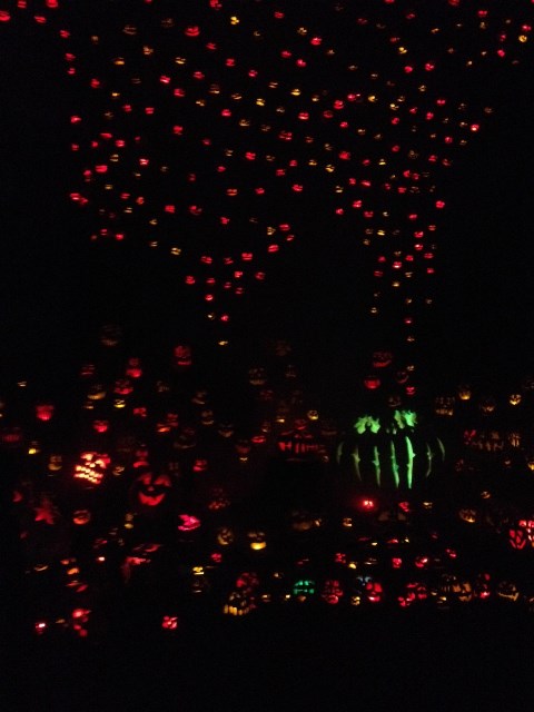 C_UsersTrin_RVC11PicturesIMG_2288