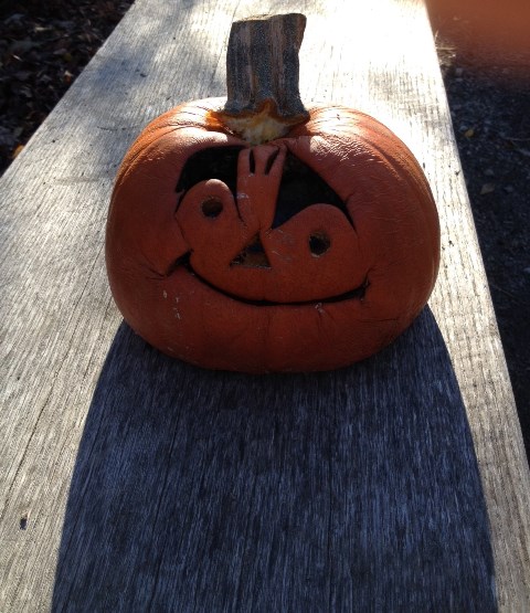 C_UsersTrin_RVC11PicturesIMG_2289 (1)