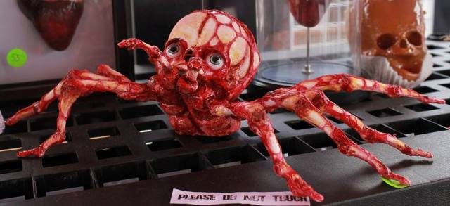 11401338_10206854593392386_1293670928658309111_n