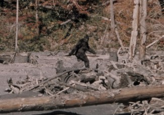 bigfoot