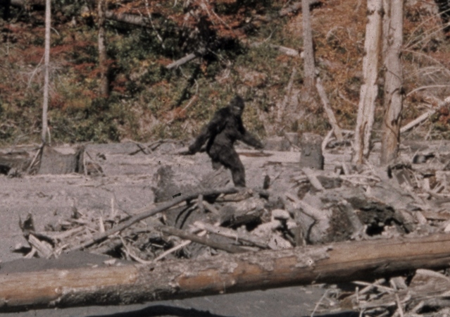 bigfoot