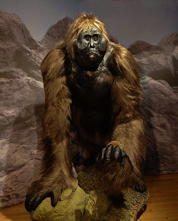 29-Gigantopithecus-model_lg