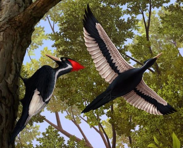 305c25e56e6f6eafd4369a57d4eda7c4