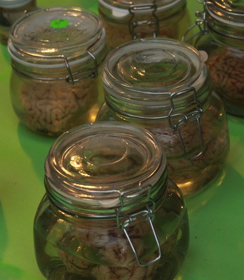 And they weren't kidding!