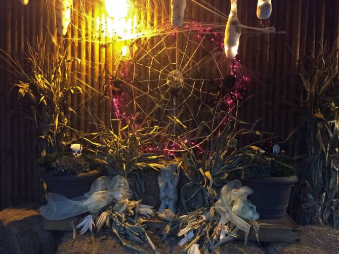 cwvDm9asA_Lw9YsGTQNy8vW7Zxw