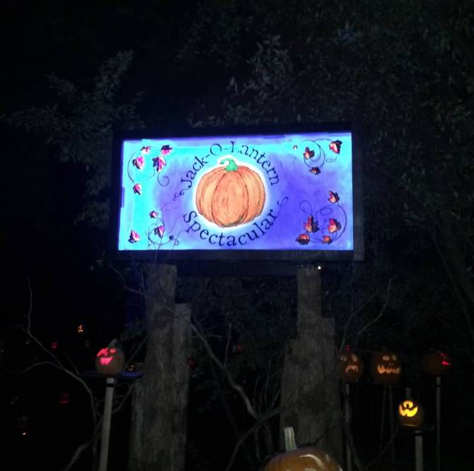 cwvDm9asA_Lw9YsGTQPy8vWLBi5Y