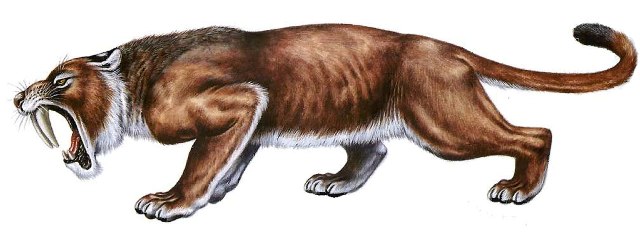 eusmilus-sabre-toothed-tiger