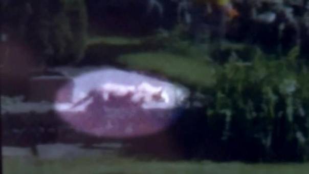 Is this fuzzy photo proof of an African lion roaming Milwaukee?