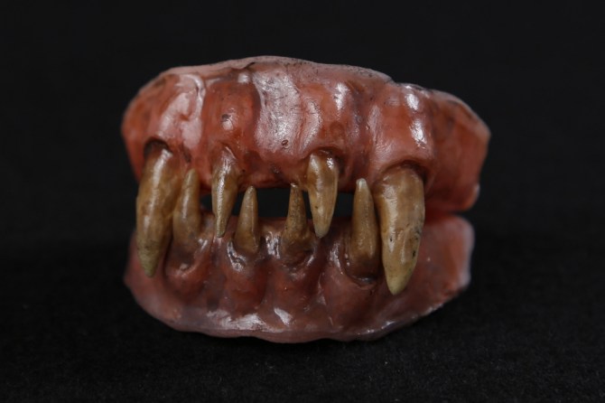 Creature Dentures