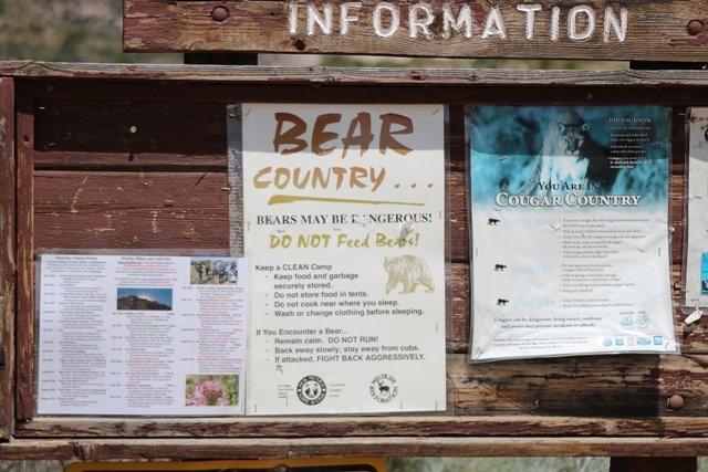 Say, this looks like the perfect place to look for tarantulas!