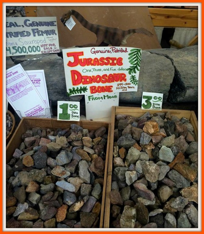 13412990_10154335235568623_1056970546535882914_n