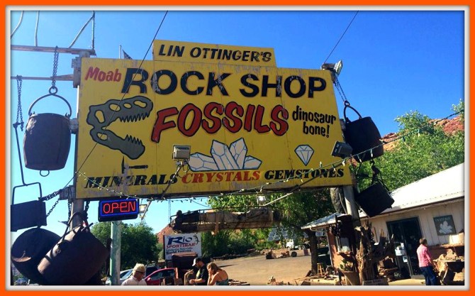 13466238_10154335235048623_5875694578226612530_n