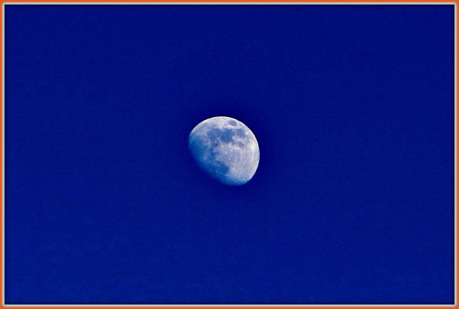 13475133_10154333051438623_8610972233276938349_o