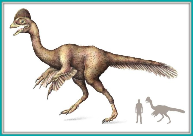 77865.ngsversion.1422284785628.adapt.945.1