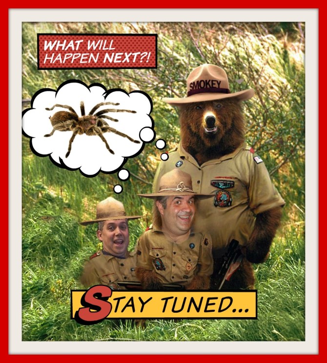 Smokey-The-Bear-And-Troops-With-Guns-29939