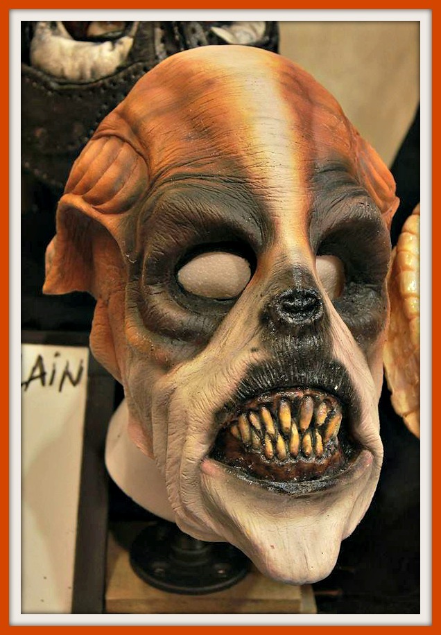 11990482_10207573641568141_8818065007428270514_n