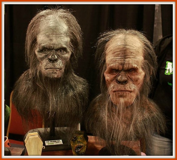 12002055_10207564177211538_786441296354867035_n