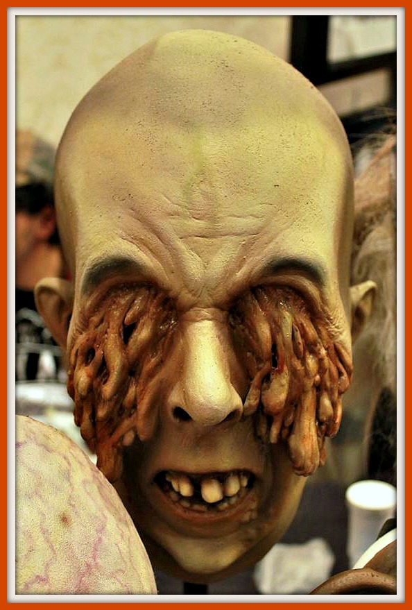 12002252_10207564159371092_605263620177093263_n