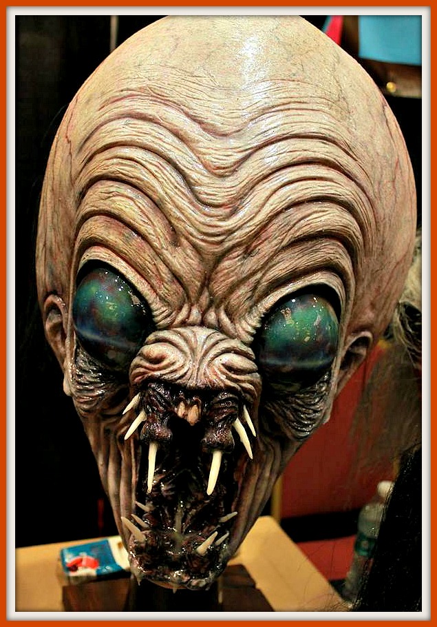 12002803_10207558022777681_3326902493416894468_n