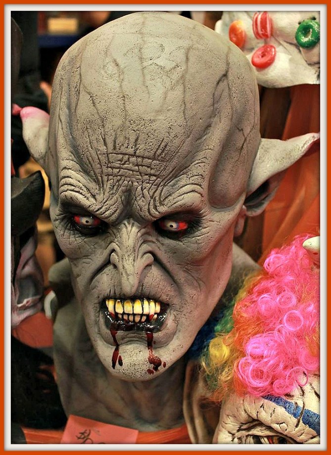 12003303_10207564174291465_9105621744872133616_n