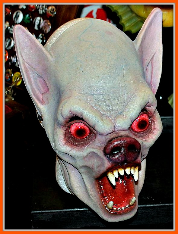 12003412_10207558026337770_987755624458825544_n