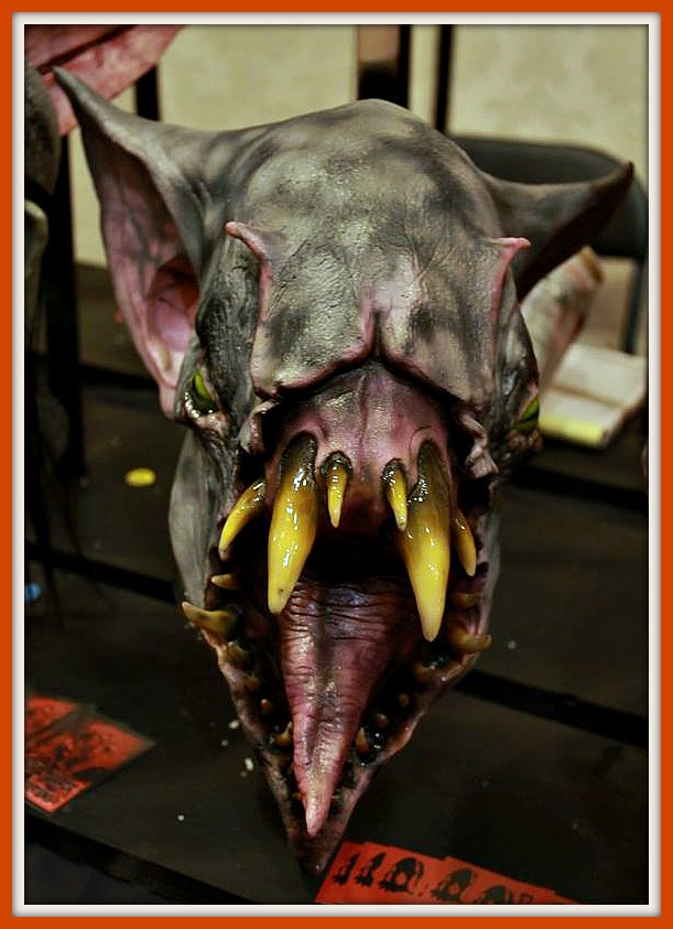 12004726_10207564189971857_913282974682905834_n