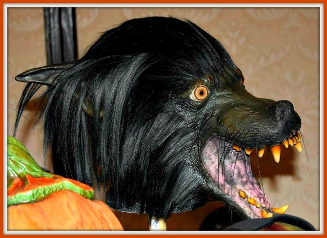 12009587_10207564191531896_2612119641340463272_n