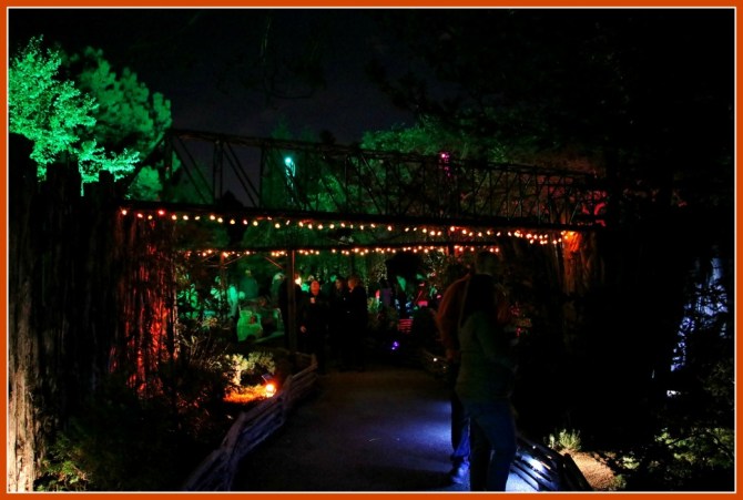 chicago-botanic-halloween-train