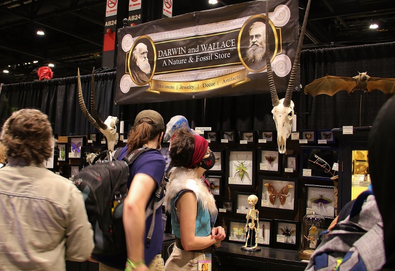 Chicago Comic & Entertainment Expo taxidermy vendor booth